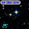 SA 203-174