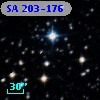 SA 203-176