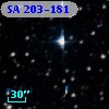SA 203-181