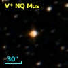 V* NQ Mus
