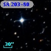SA 203-80