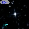CD-80   430