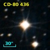 CD-80   436