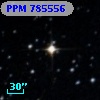 PPM 785556