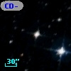 CD-80   423
