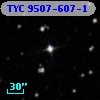 TYC 9507-607-1
