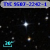 TYC 9507-2242-1