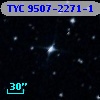 TYC 9507-2271-1
