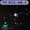 TYC 9511-446-1