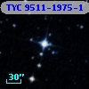 TYC 9511-1975-1