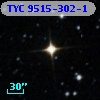 TYC 9515-302-1