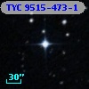 TYC 9515-473-1