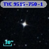 TYC 9515-750-1