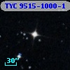 TYC 9515-1000-1