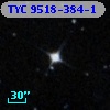 TYC 9518-384-1