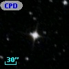 CPD-88    73
