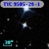 TYC 9505-28-1
