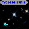 TYC 9514-175-1