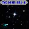 TYC 9515-951-1