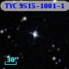 TYC 9515-1001-1