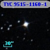 TYC 9515-1160-1