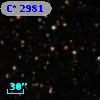 C* 2981