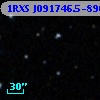 1RXS J091746.5-890303