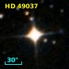 HD  49037