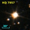 HD   7957