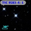 TYC 9503-8-1