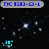 TYC 9503-13-1