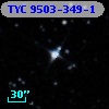 TYC 9503-349-1