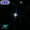 CPD-85    10