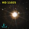 HR   525