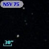 NSV    75