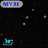 NSV    31