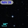 NSV    28
