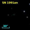 SN 1991an