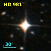 HD    981