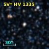 SV* HV  1335