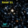 RAW   31