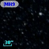 [MH95]  295