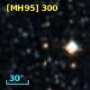 [MH95]  300