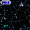 [MH95]  317