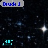 Bruck   1