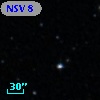 NSV     8