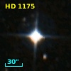 HD   1175