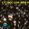Cl* NGC  104    BHB       9