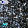 Cl* NGC  104    LEE    2713
