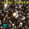 Cl* NGC  104    LEE    8636